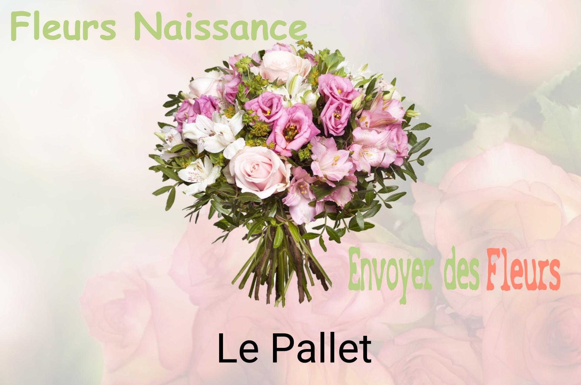Bouquet de fleurs de naissance livré à Le Pallet